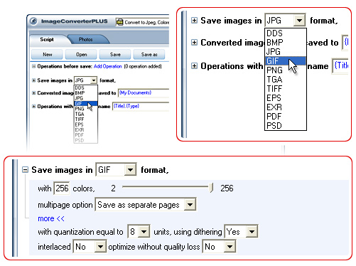 Convert CR2 to GIF. Avaible settings for GIF file format.