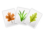 Conversion of 800+ image format dialects